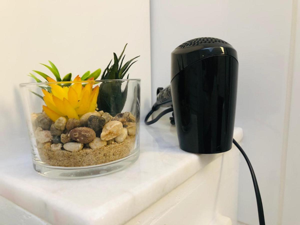 Room Mate Hostel Amsterdam Ζάανταμ Εξωτερικό φωτογραφία
